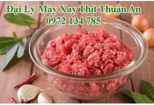 Máy xay thịt tại Thuận An